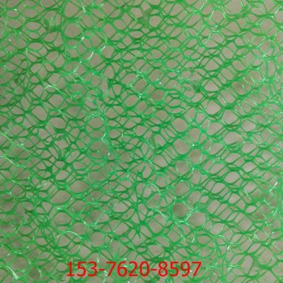 蘇州三維土工網(wǎng)墊實業(yè)集團介紹