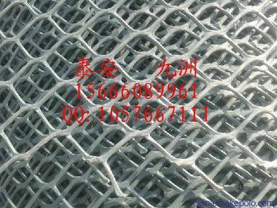 溫州高強(qiáng)度土工網(wǎng)與泰安九洲土工格室 規(guī)格齊全，應(yīng)用廣泛